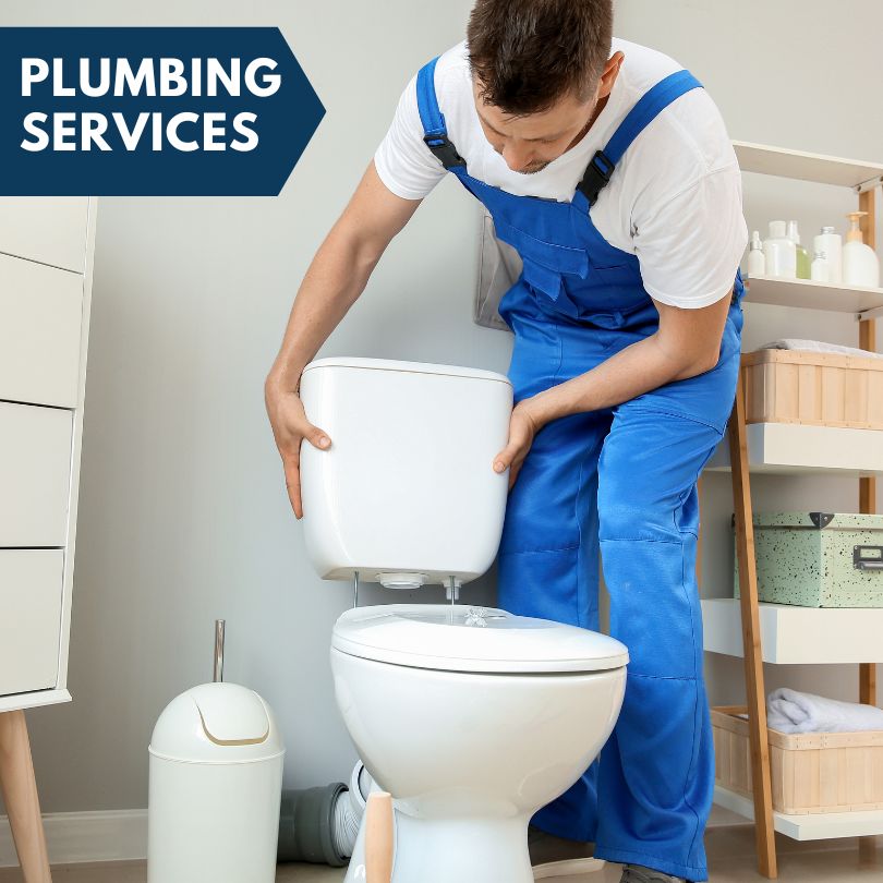 Plumbing Company in Pittsford, MI
